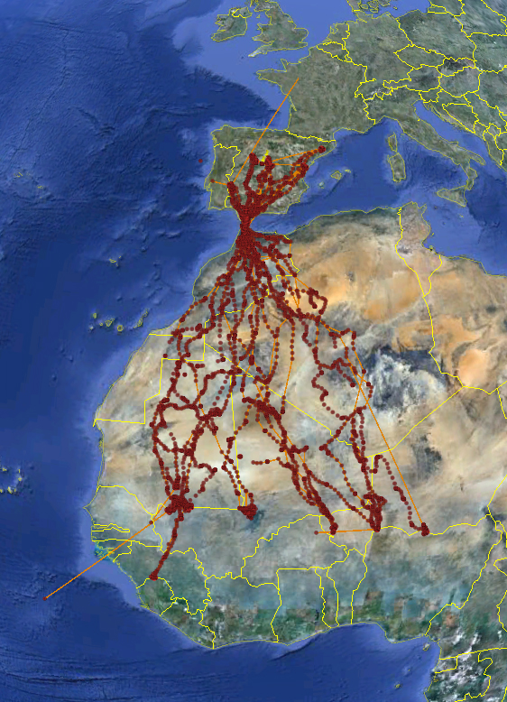130430_día mundial aves migratorias_rutas-calzadas-SEO-A